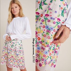 NWT Pascaline Embroidered Tulle Mini Skirt 0